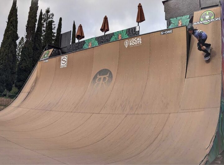 Backyard skateboard ramps in Vista