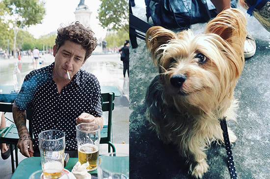 Dustin Dollin's dog stolen