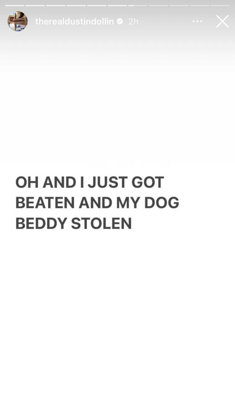 Dustin's dog stolen