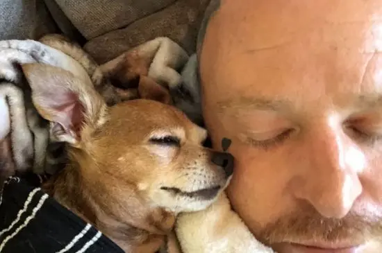 Jason Ellis Mourns The Loss of His Beloved Dog Jason Ellis Mourns The Loss of His Beloved Dog