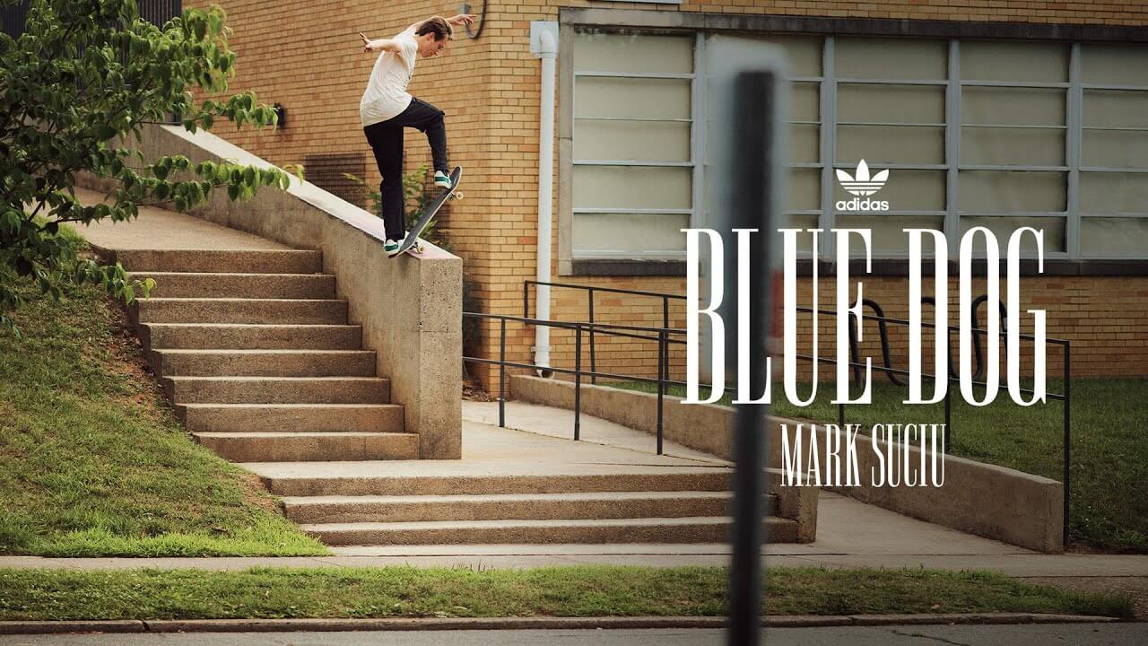 Mark Suciu's Blue Dog Adidas Part