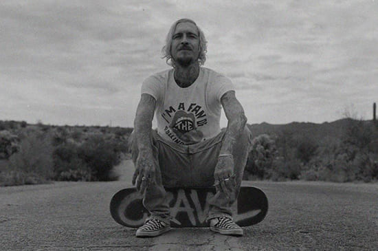 Ragdoll sitting on a skateboard