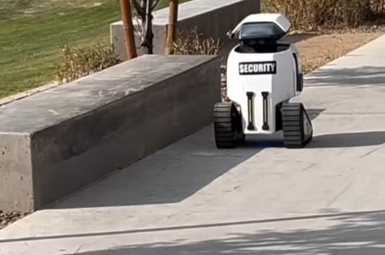 Robo Security blocking a skate ledge