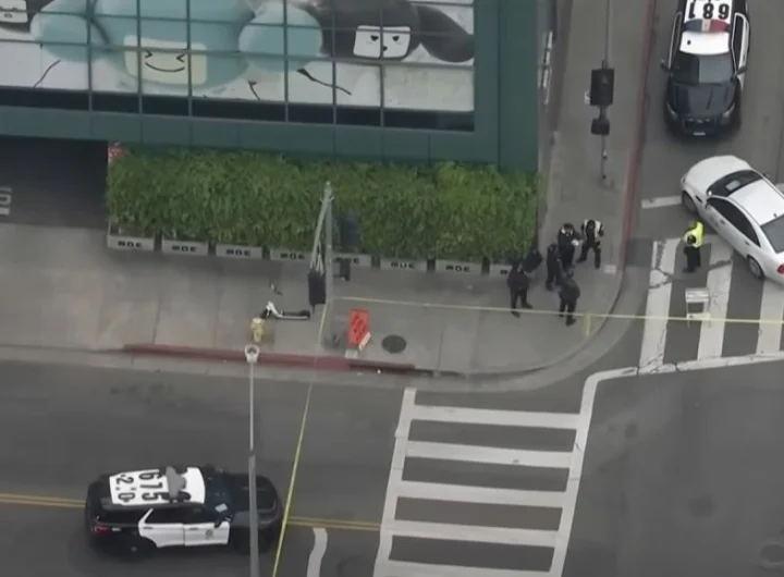 Skater Killed in L.A. Hit-and-Run